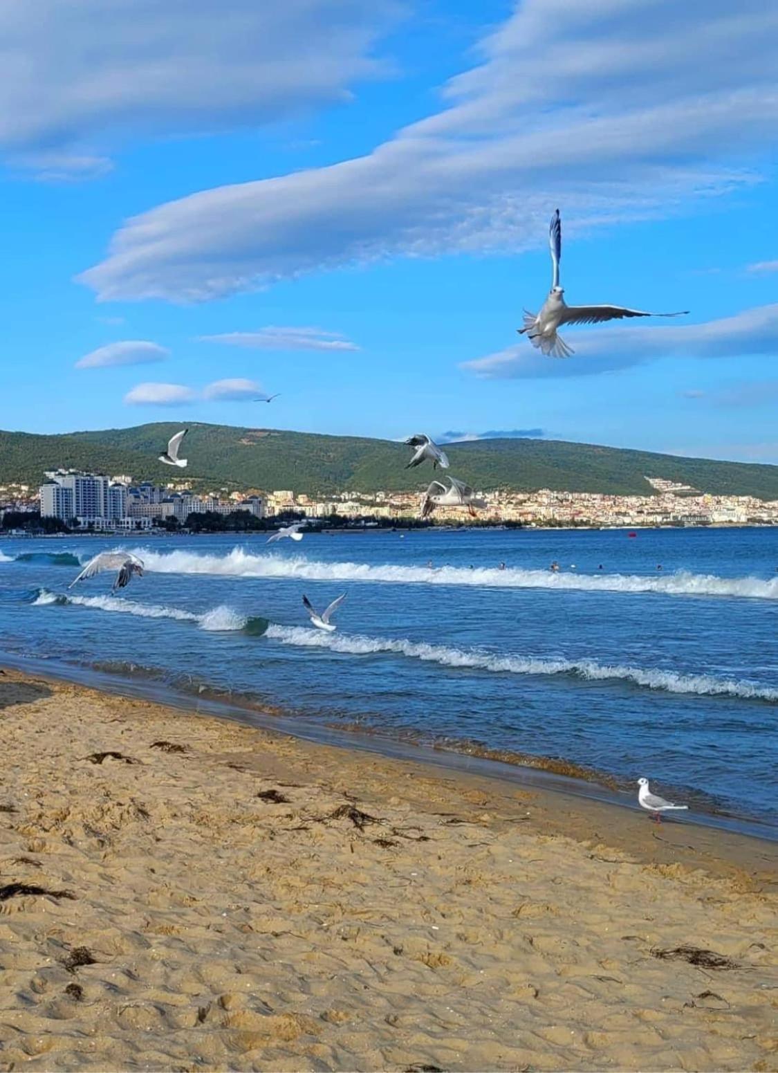 Wonderful Deluxe Appartement In Cascadas Family Resort Солнечный берег Экстерьер фото